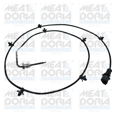 Sensor, exhaust gas temperature